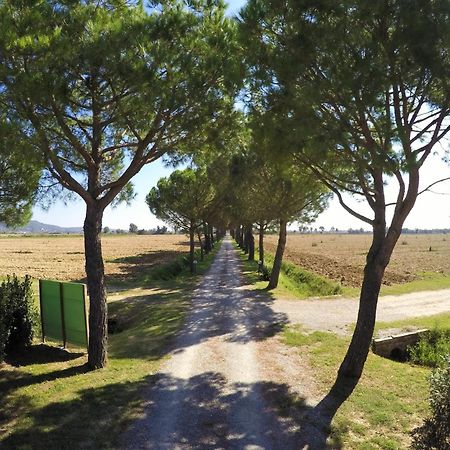 Terra Di Cortona Villa Екстериор снимка