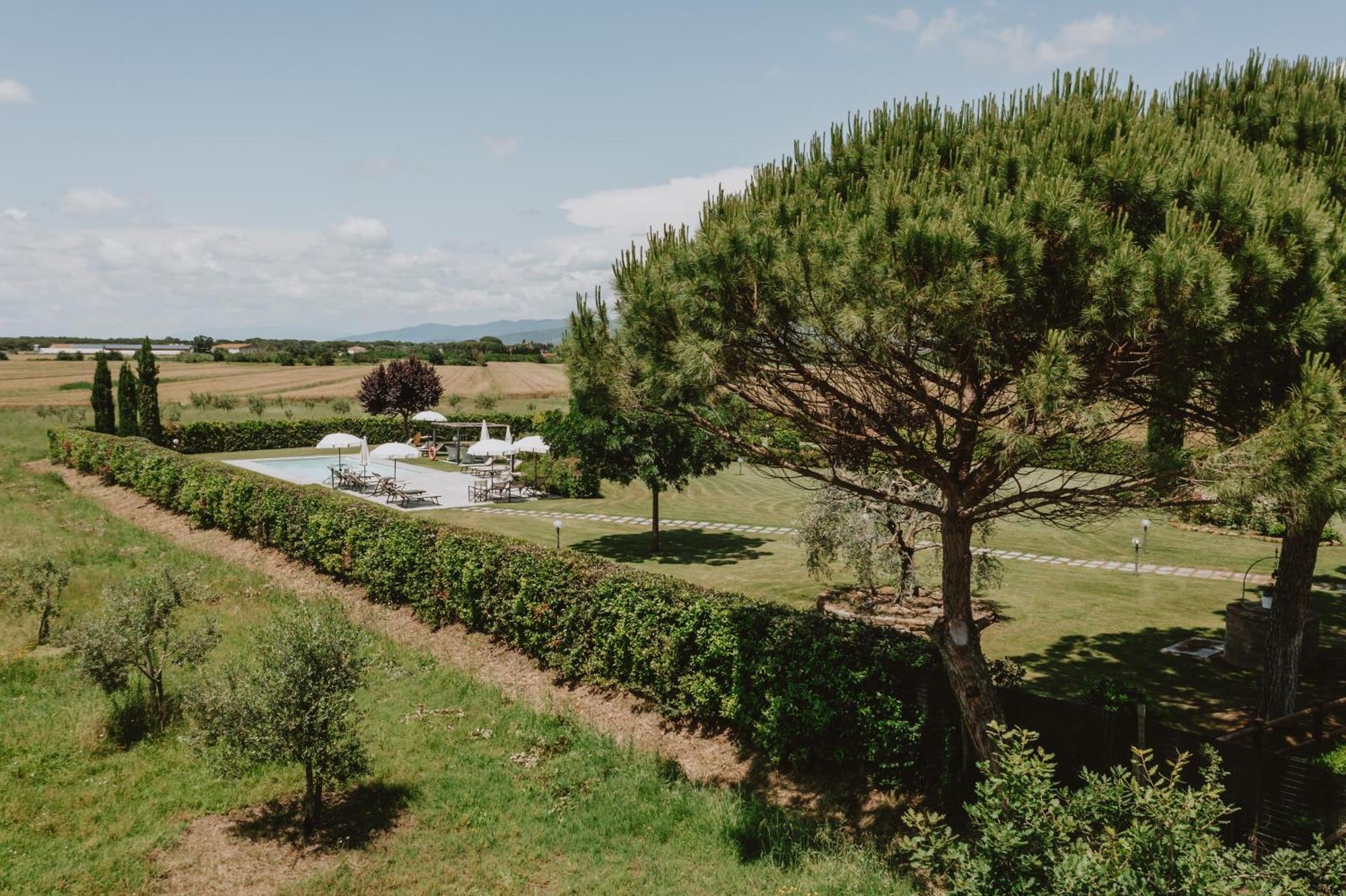 Terra Di Cortona Villa Екстериор снимка