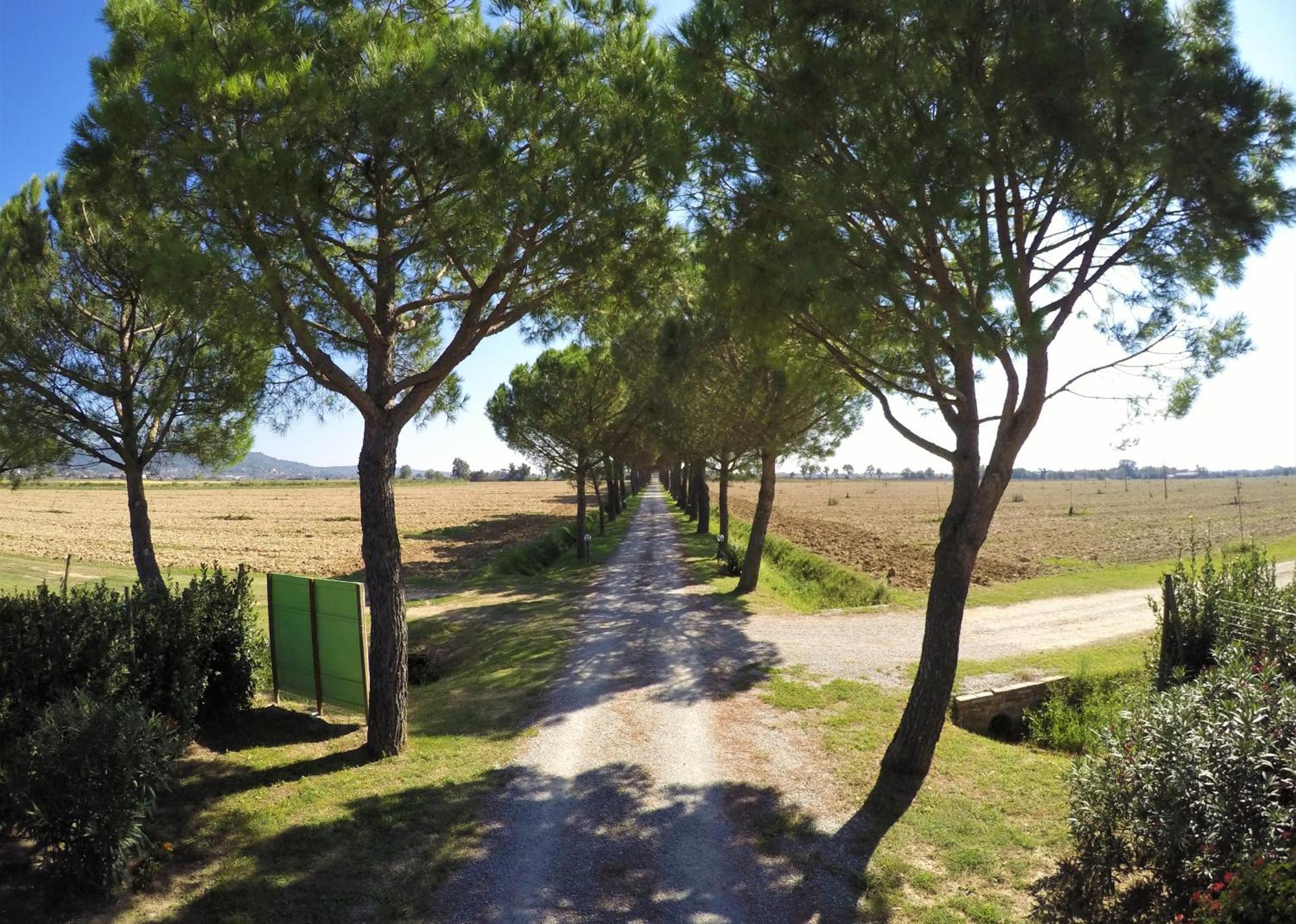 Terra Di Cortona Villa Екстериор снимка