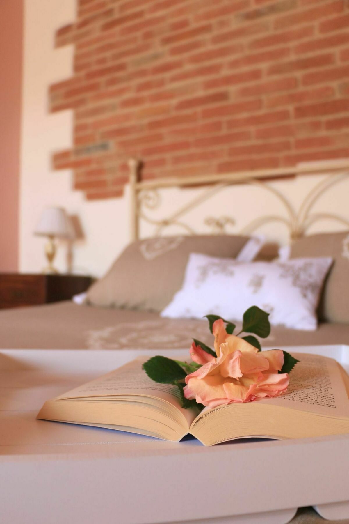 Terra Di Cortona Villa Екстериор снимка